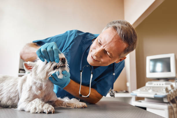 Best Same-Day Emergency Dentist in Oyster Creek, TX